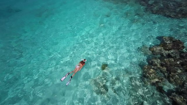 Aerial view of a woman snorkeling above tropical reef, St John, United States Virgin Islands 