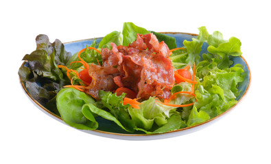 bacon salad in plate on white background