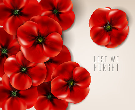 Remembrance day - 11 November - lest we forget - Veterans day