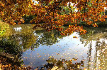 Stadt-Park in Hanau in herbstlichen Farben