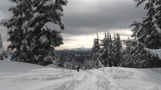 Two snowboarders find fresh powder through the trees at Mt Hood in Oregon after snowfall.
