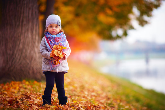 adorable baby girl in autumn park
