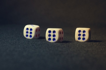 dice photo
