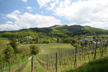 Fototapeta na wymiar Staufen im Breisgau