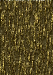 Obraz premium fond bois,texture ,arrière-plan