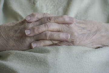 wrinkled hands of a senior woman