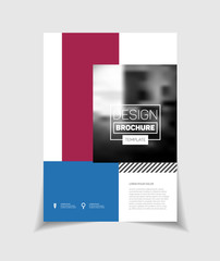 Startup presentation layout or business flyer. Annual report vec