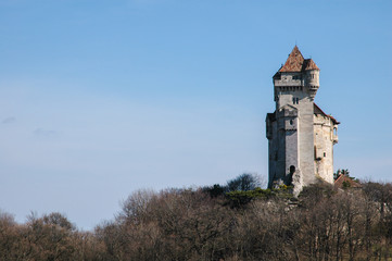 Burg mit Wald