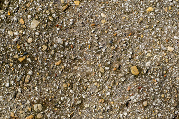 Old asphalt texture with green moss and lichens, top view