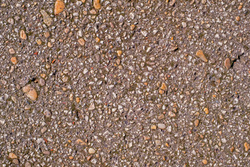Old asphalt texture with green moss and lichens