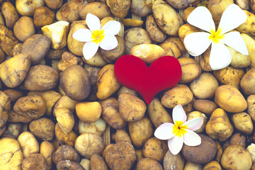 red heart on the rock and Frangipani flowers