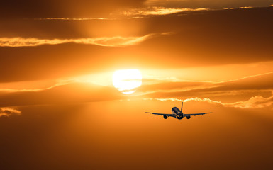 Fototapeta na wymiar Plane is taking off at sunset