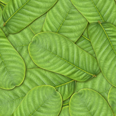 Seamlessly green  leafs background.