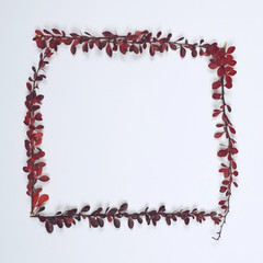 Autumn leaves on white background in form of frame - Flat lay