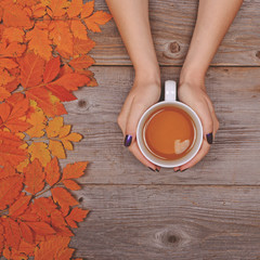 Woman hand holding perfect cup of tea on wooden table with autum