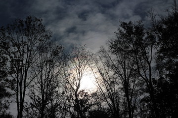 Obraz premium Oktober