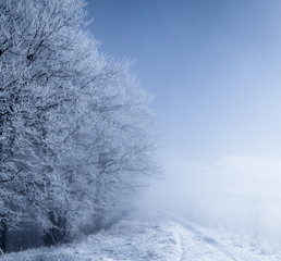 Road to unknown - winter wonderland.