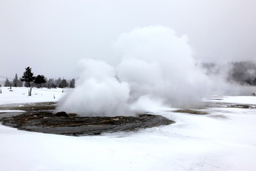 Hot geyser in Yellowstone National  Park, USA