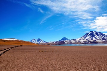 Fototapeta na wymiar Panoramic view of the Laguna Altiplanica which is a high plateu Lagoon in the area of San Pedro de Atacama in Chile, South America