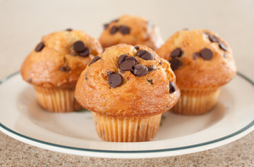 Chocolate chip muffins on plate.