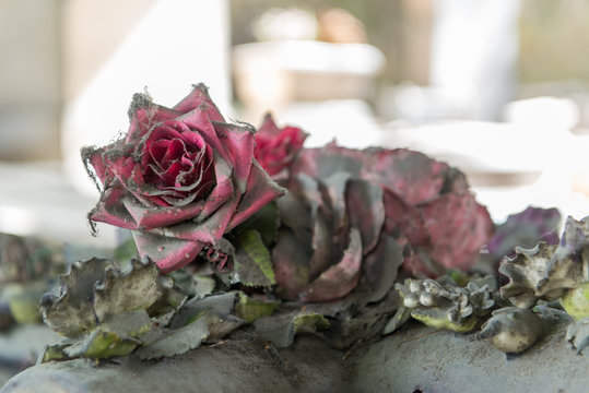 Plastice rose covered with cobwebs on a tomb in Montmartre cemet