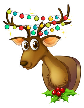 Christmas theme with reindeer and lights