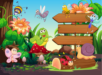 Wooden signs and insects in garden