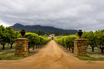 Stellenbosch wine region close to Cape Town, South Africa