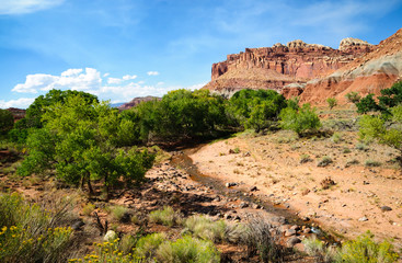 Capitol Reef National Park