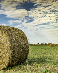 Straw bales in summer