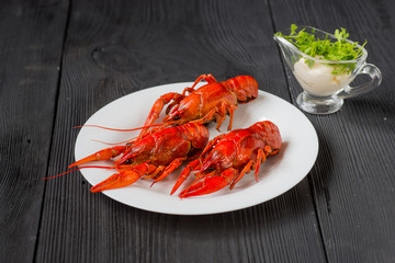 Three red crayfishes on white plate with sauce