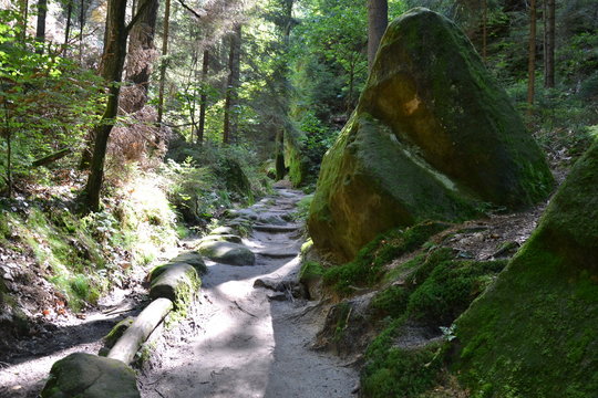 Wanderweg im Wehlener Grund  in der S&auml;chsischen Schweiz 