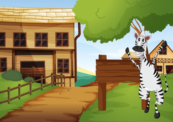 Zebra in the western old town