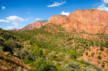 Zion National Park