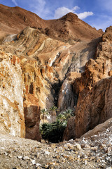 Oase in den Bergen von Chebika, Tunesien 