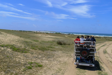 Uruguay, Cabo Polonio Village in National Park. No electricity.