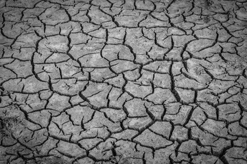 Black and white image of Background of cracked soil dirt or earth during drought