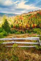 Colorful autumn landscape scene with fence in Transylvania