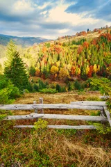 Crédence de cuisine en verre imprimé Automne Colorful autumn landscape scene with fence in Transylvania