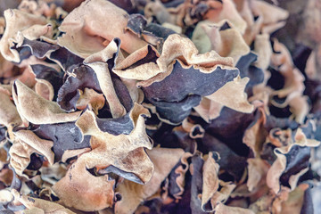 Dried Jew's Ear Mushroom in the bucket from the street market. Chinese black dried mushrooms. Selective focus