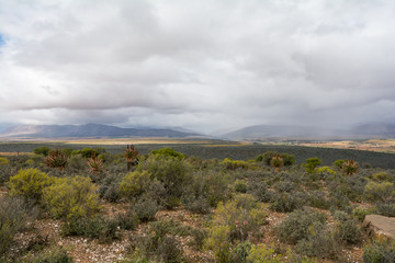 Kleine Karoo, Outshoorn, South Africa