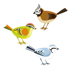 Decorative birds titmice