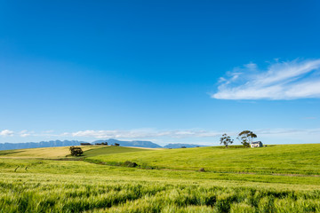 South African Farmland and Meadows close to Hermanus