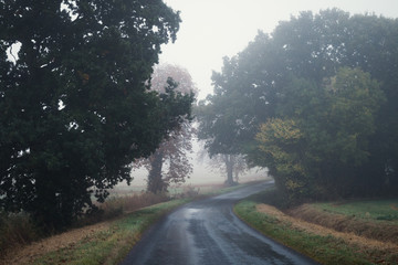 Empty Back Road In The Countryside