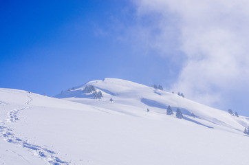 Pointe d'Orci&egrave;res