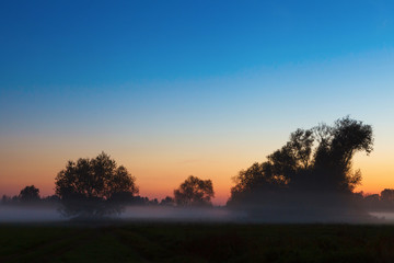 Obraz na płótnie Canvas Evening mist on meadow at sunset, silhouette trees