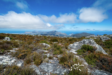 Fototapeta na wymiar View of top of Table Mountain ins Cape Town, South Africa