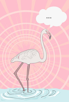 flat flamingo pop art vector illustration
