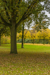 Herbst in Pellens-Park in Bremen