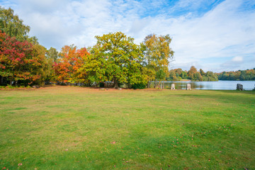 A park in Virginia Water, Surrey, UK